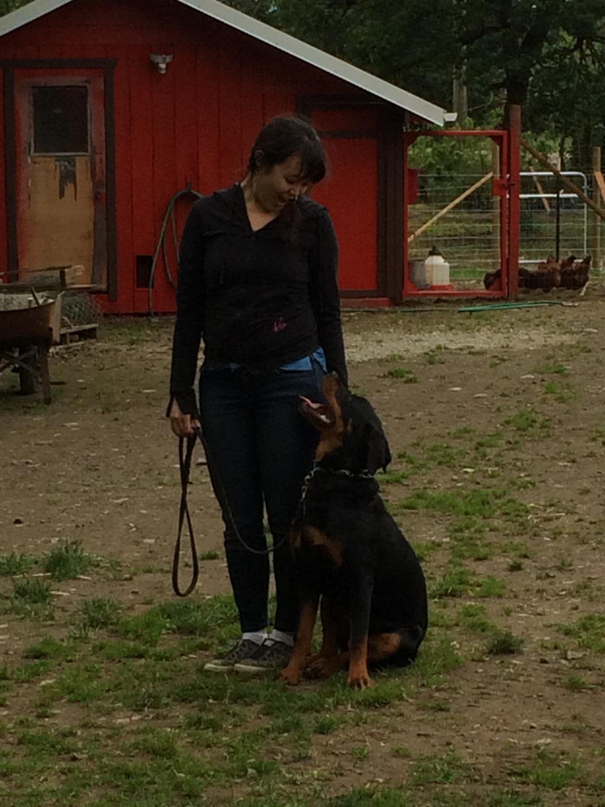 Scatter Creek Pet Care