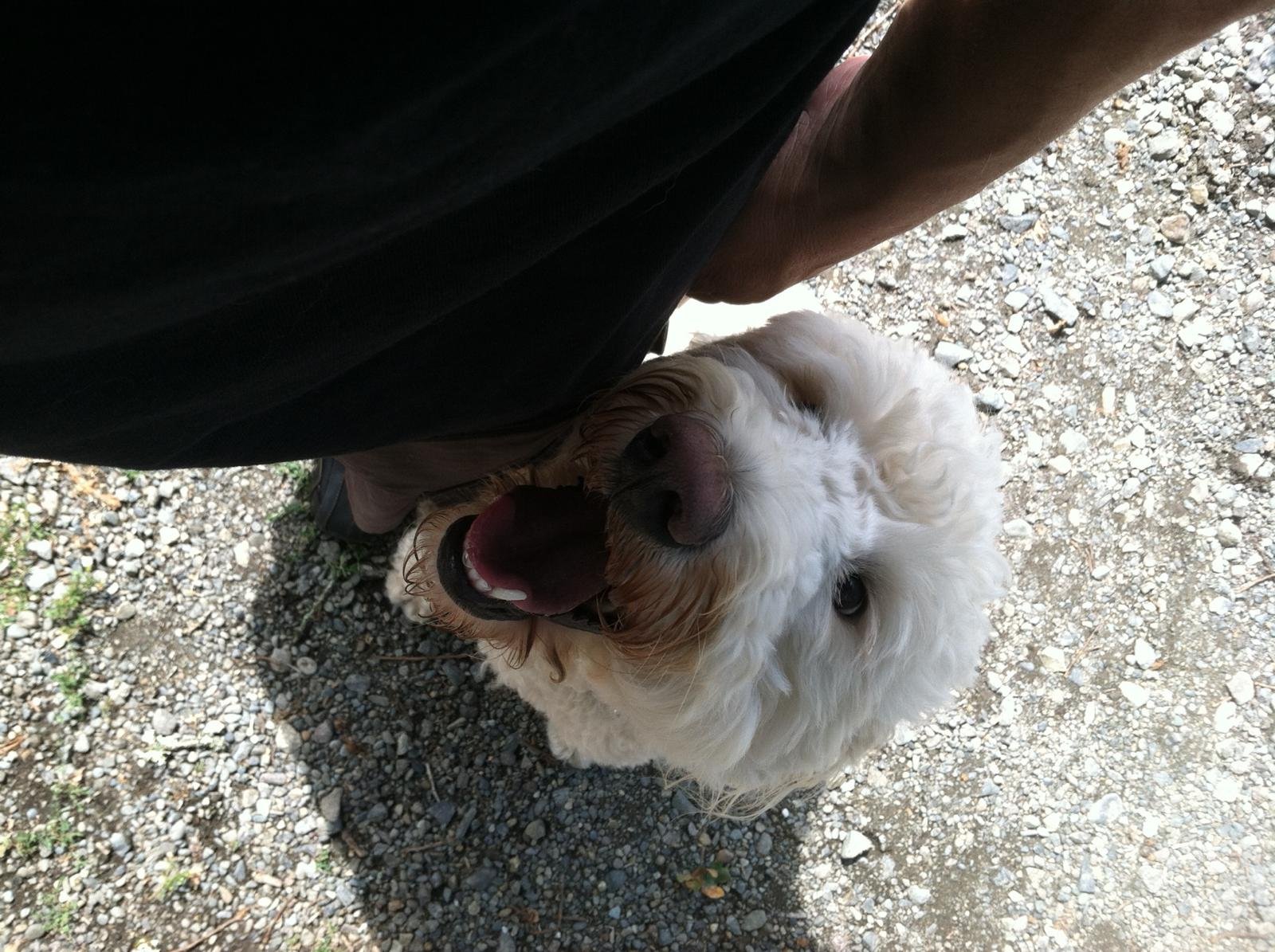 Scatter Creek Pet Care