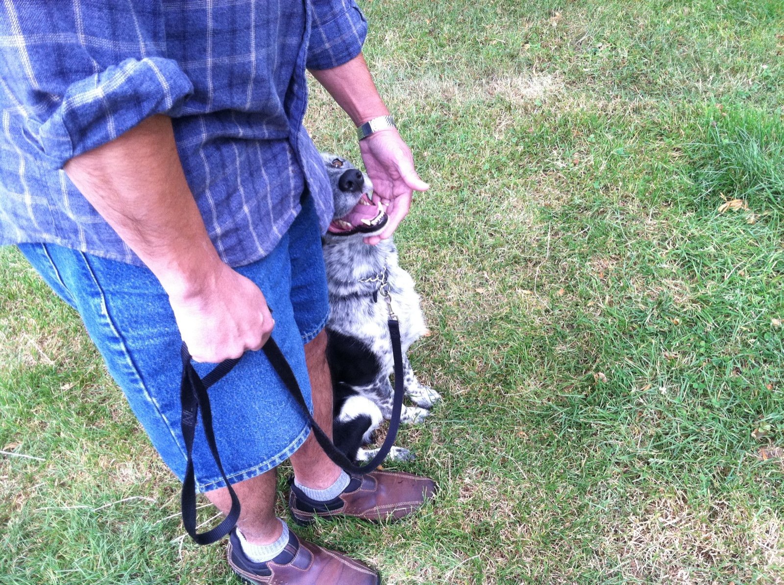 Scatter Creek Pet Care