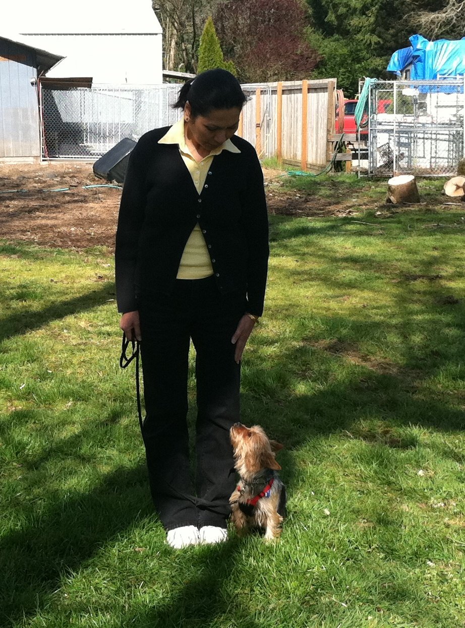 Scatter Creek Pet Care