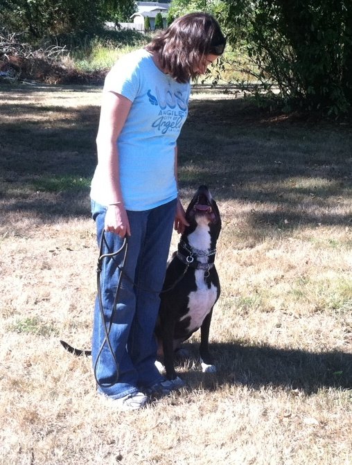 Scatter Creek Pet Care