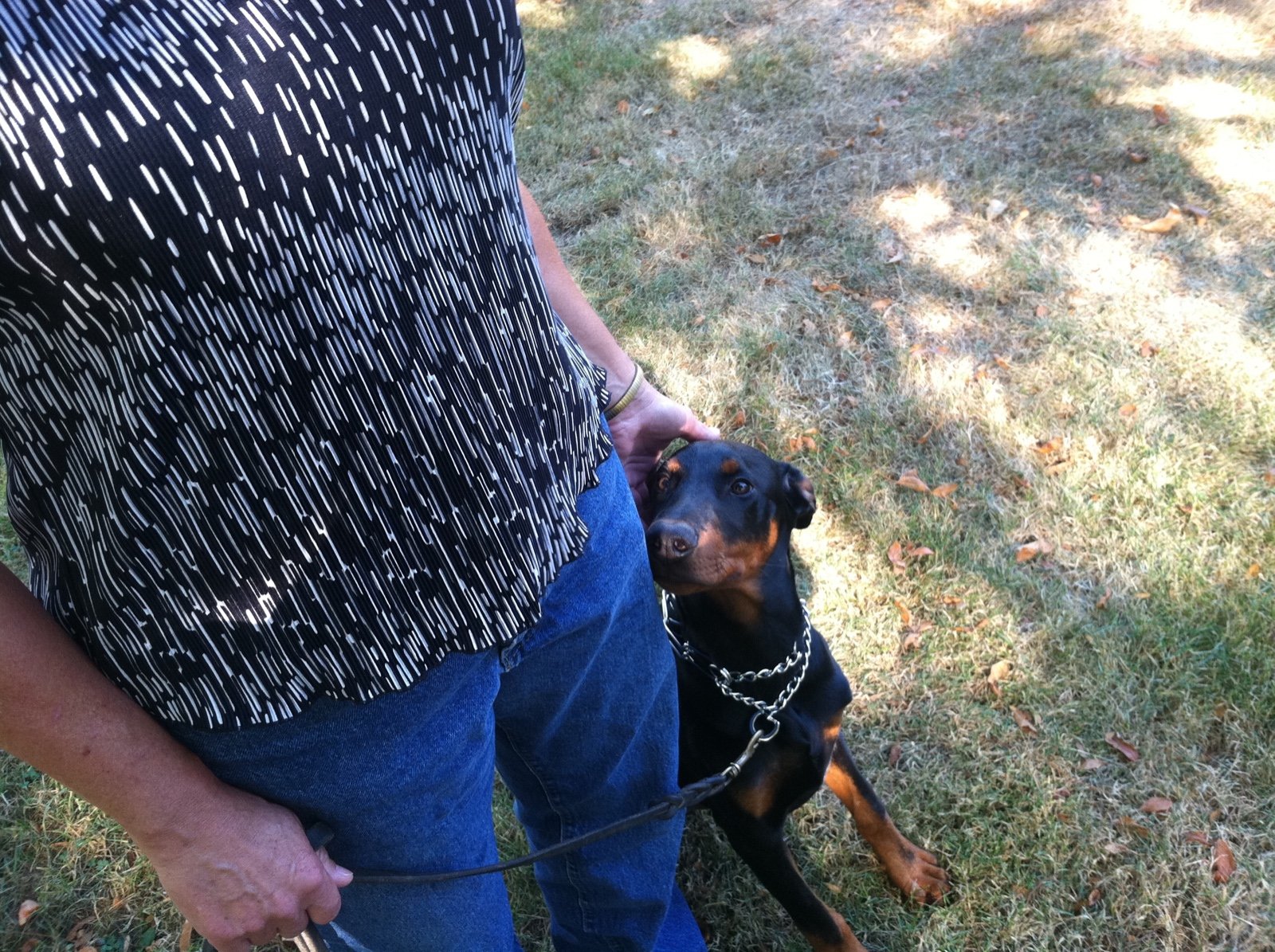 Scatter Creek Pet Care