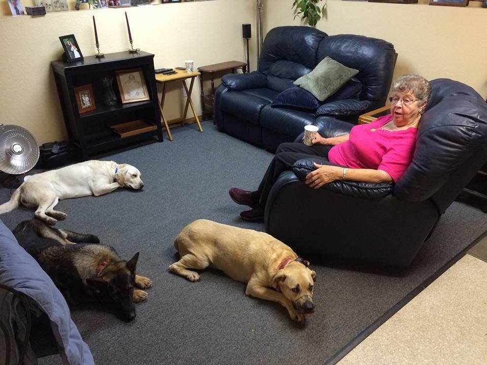 Scatter Creek Pet Care