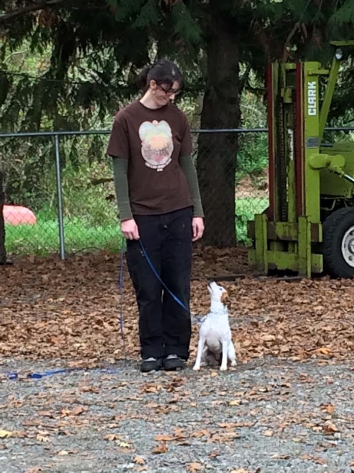 Scatter Creek Pet Care