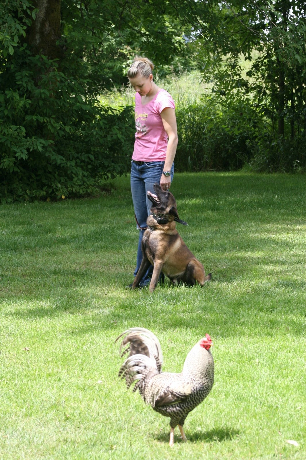 Scatter Creek Pet Care