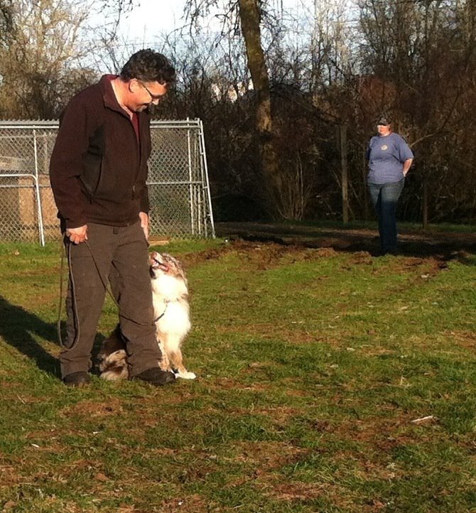 Scatter Creek Pet Care