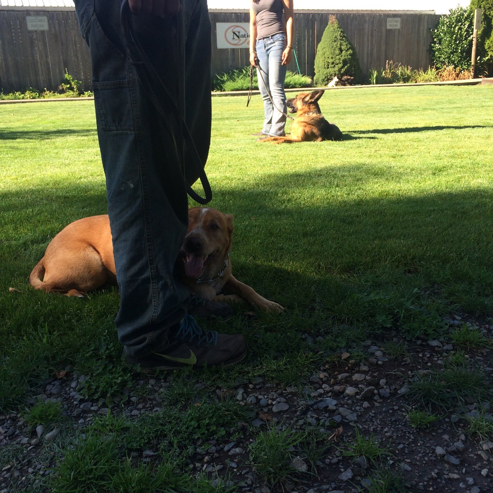 Scatter Creek Pet Care