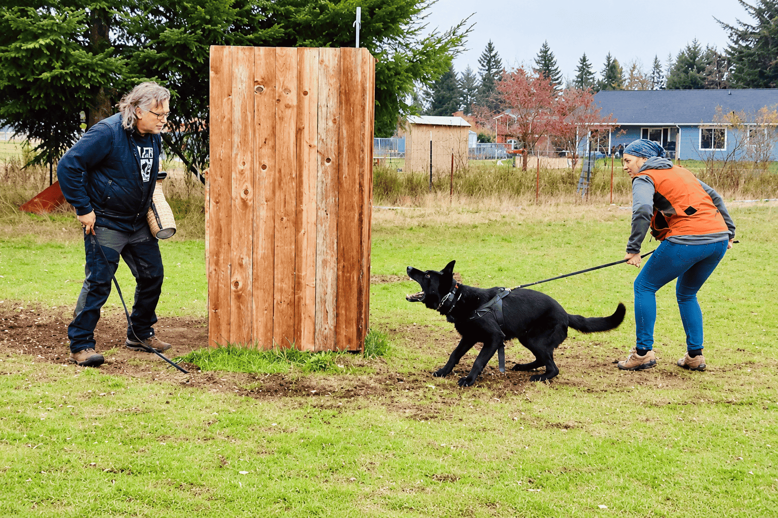 Dog Training